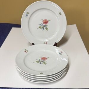 Seltmann Weiden Floral White 7.5” Salad Plate Set of 6 Bavaria, W. Germany